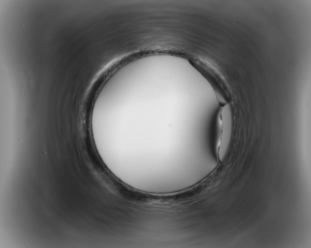 X0000083590680200703091720