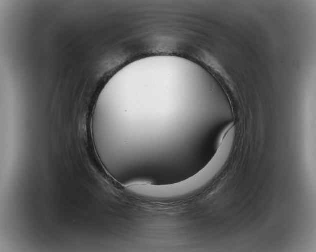 X0000083590681200703091720