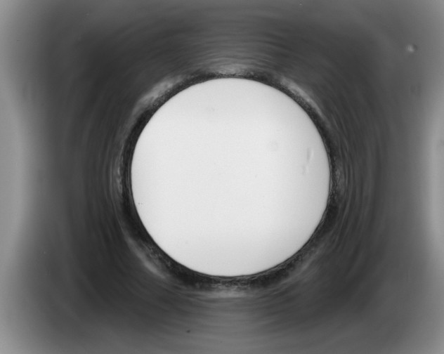 X0000083590682200703091720