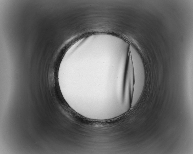 X0000083590684200703091719
