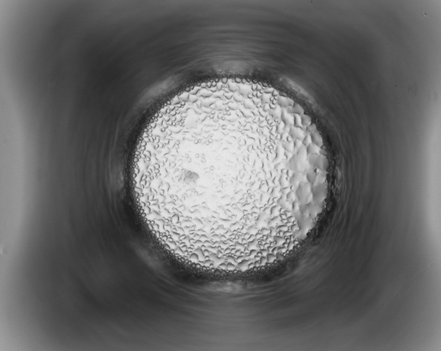 X0000083590687200703091719