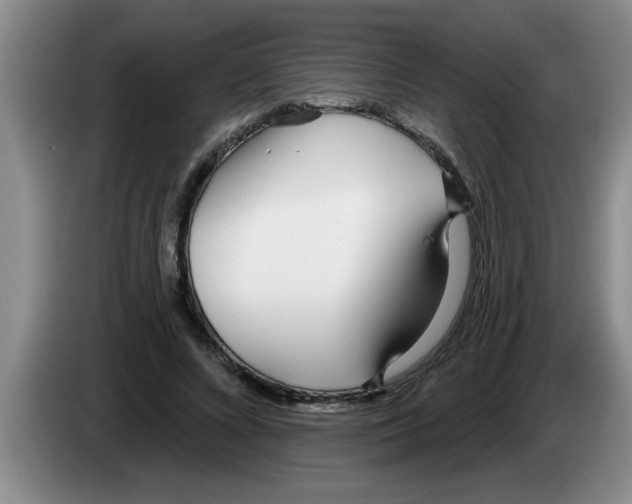 X0000083590688200703091719