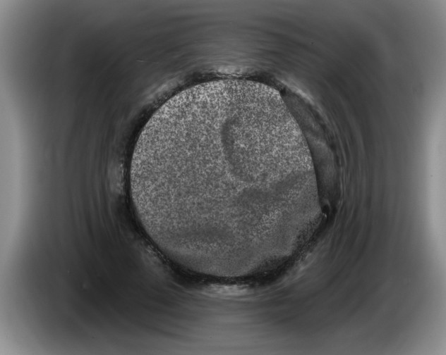X0000083590689200703091719