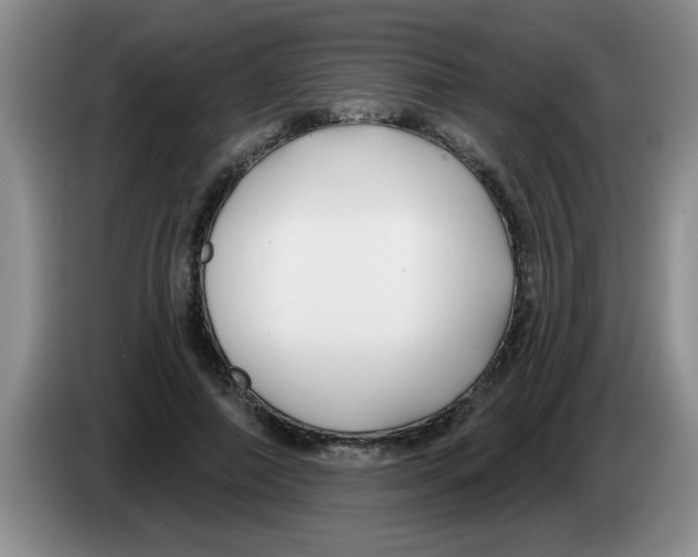 X0000083590690200703091719