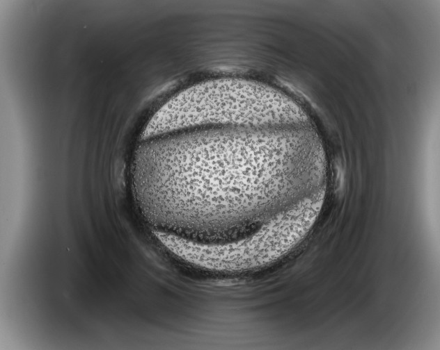 X0000083590692200703091719