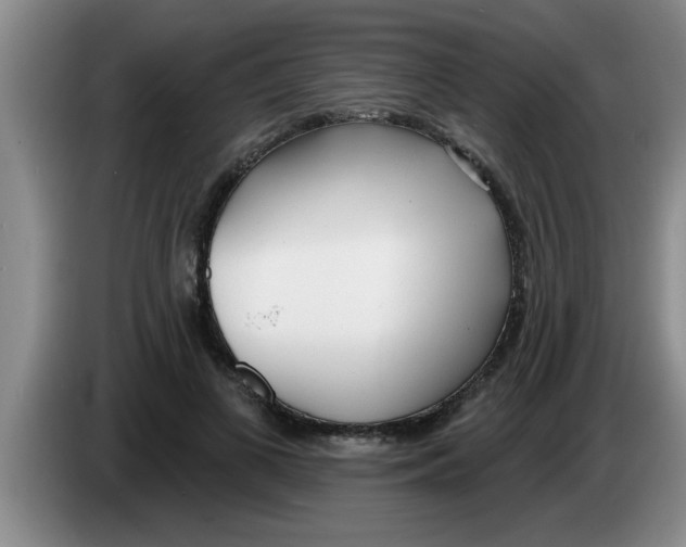 X0000083590693200703091719