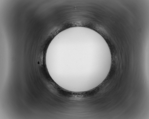 X0000083590694200703091719