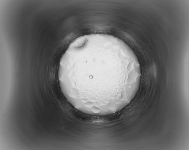 X0000083590695200703091719