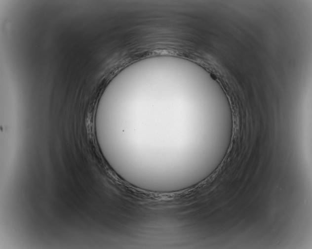 X0000083590696200703091719