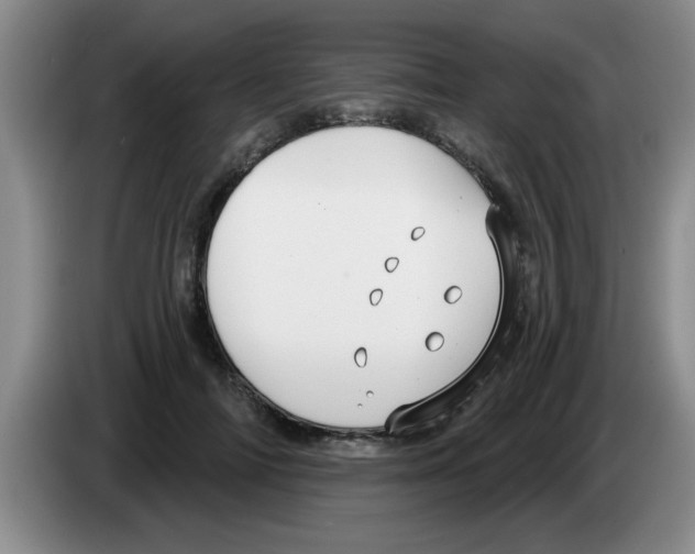 X0000083590698200703091719