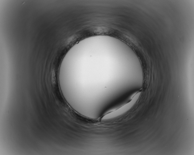 X0000083590700200703091719