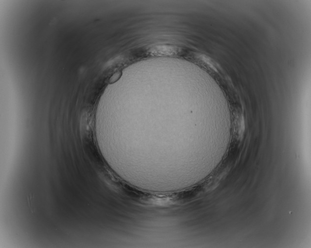 X0000083590701200703091719