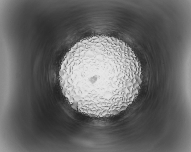 X0000083590703200703091719