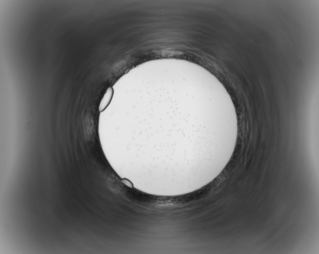 X0000083590704200703091719