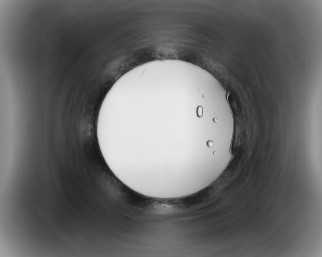 X0000083590706200703091719