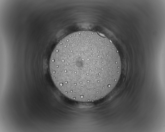X0000083590707200703091719