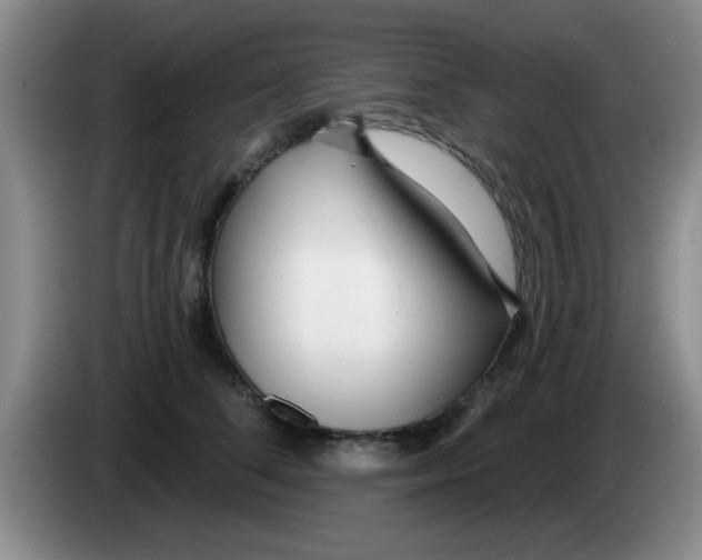 X0000083590708200703091719