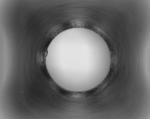 X0000083590709200703091719