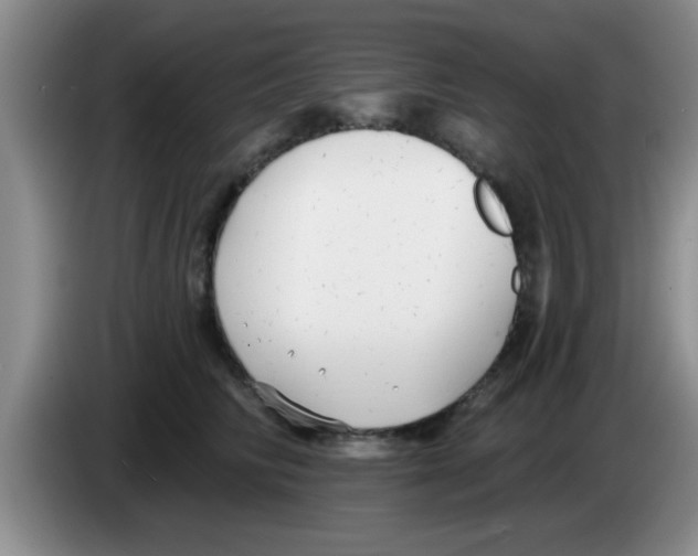 X0000083590710200703091719