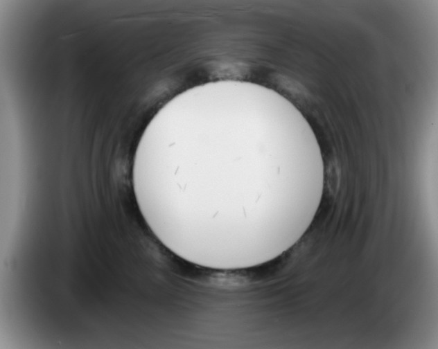 X0000083590714200703091719