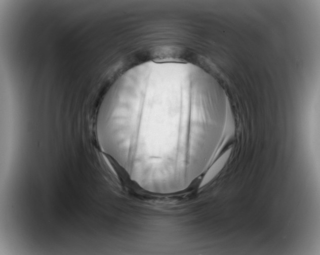 X0000083590716200703091719