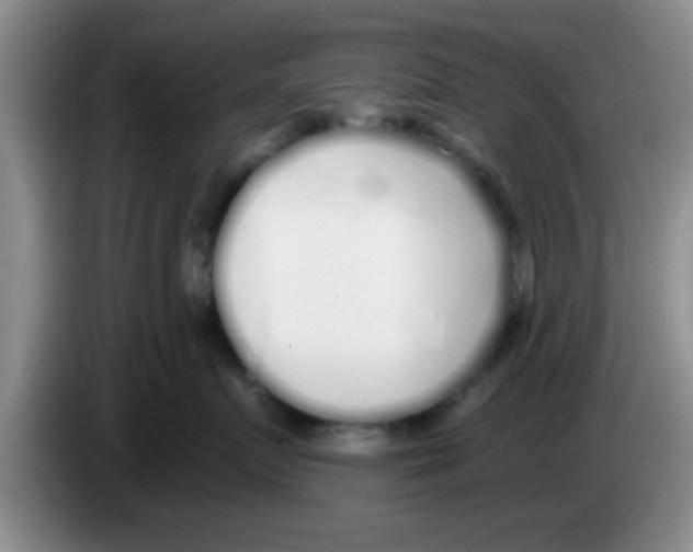 X0000083590719200703091719