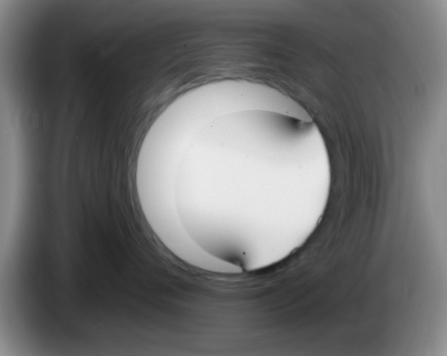 X0000083590720200703091719