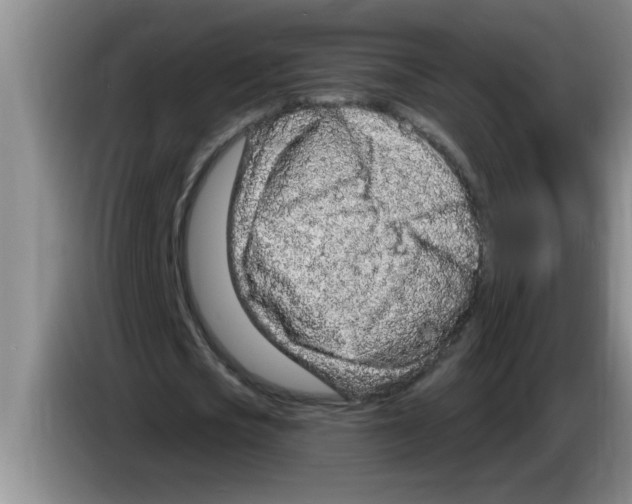 X0000083590721200703091718