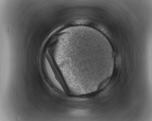 X0000083590722200703091718