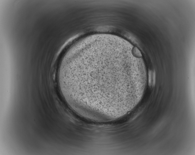 X0000083590723200703091718