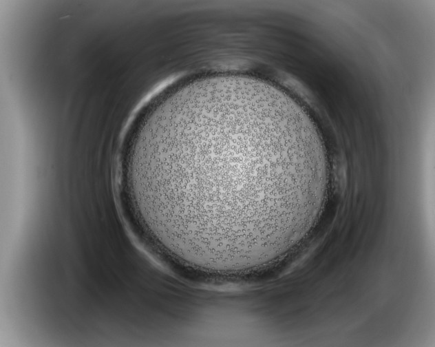 X0000083590726200703091718