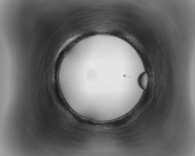 X0000083590727200703091718
