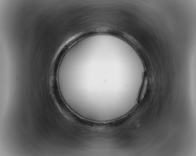 X0000083590728200703091718