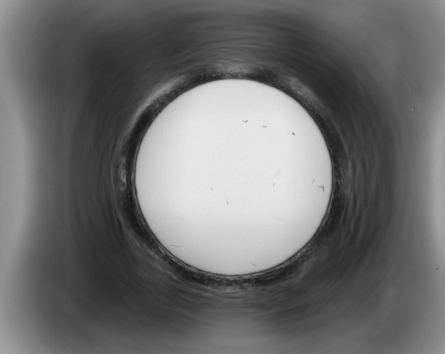 X0000083590731200703091718