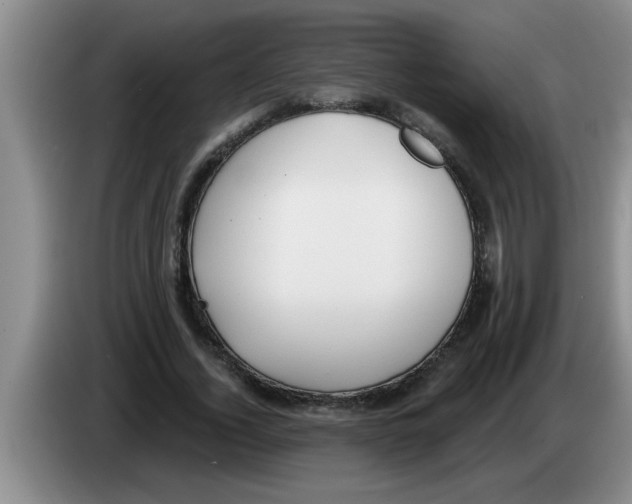 X0000083590732200703091718