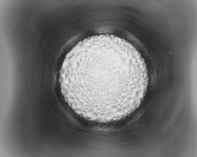 X0000083590733200703091719