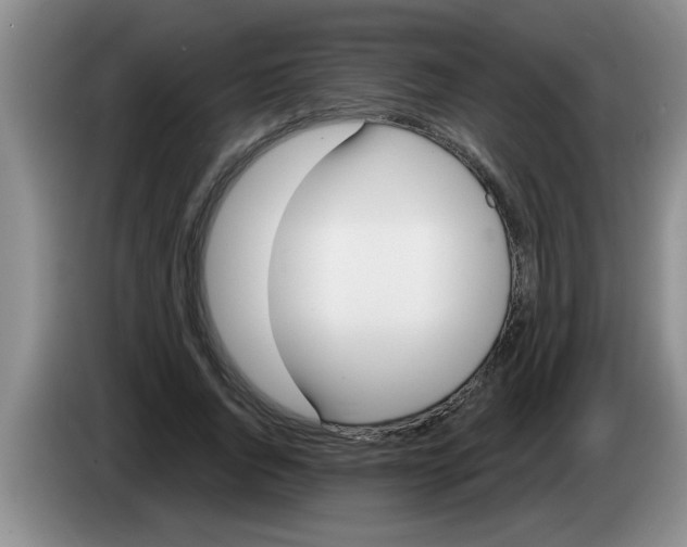 X0000083590736200703091719