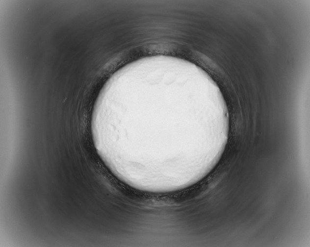 X0000083590737200703091719