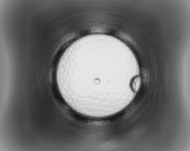 X0000083590738200703091719