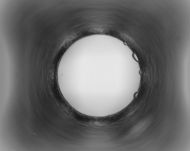 X0000083590739200703091719