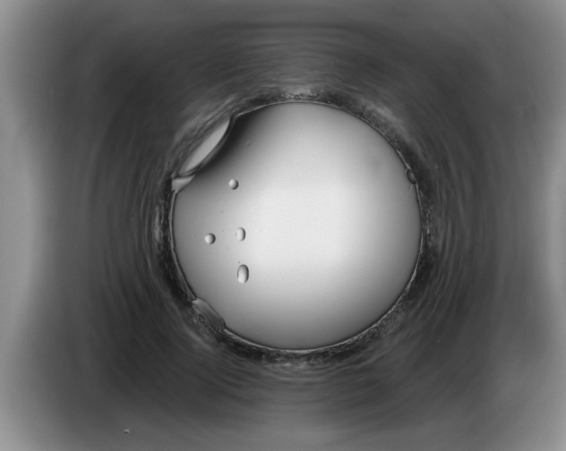 X0000083590740200703091719