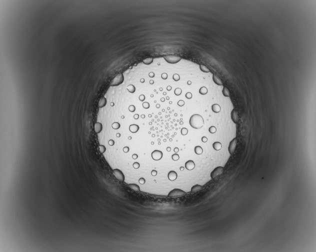 X0000083590741200703091719