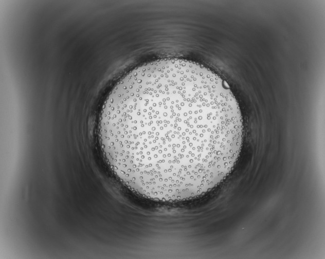 X0000083590742200703091719