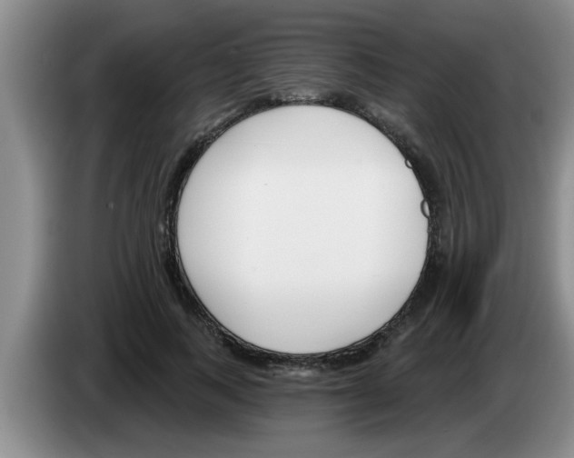 X0000083590743200703091719