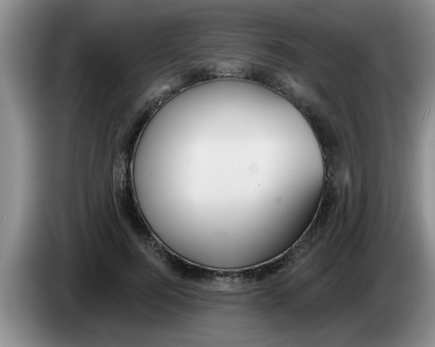 X0000083590744200703091719
