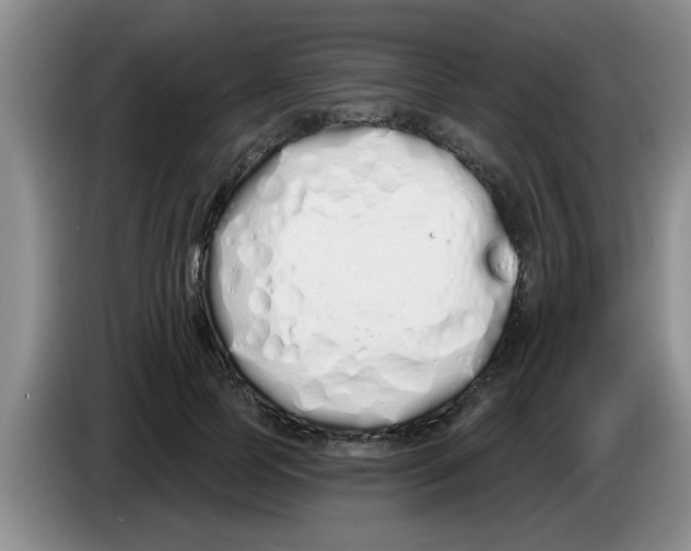 X0000083590745200703091719