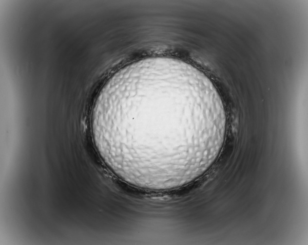 X0000083590746200703091719