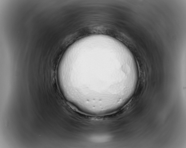 X0000083590749200703091719