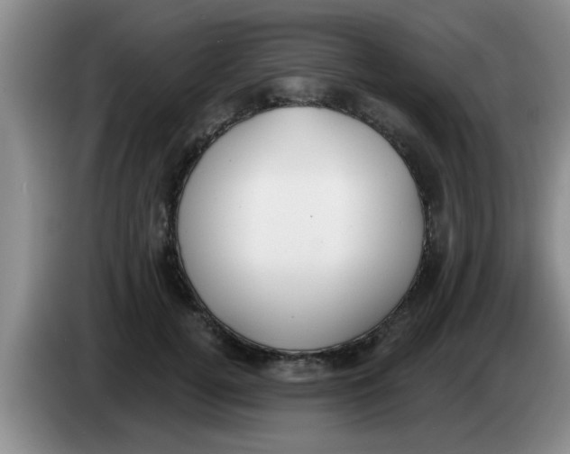 X0000083590752200703091719