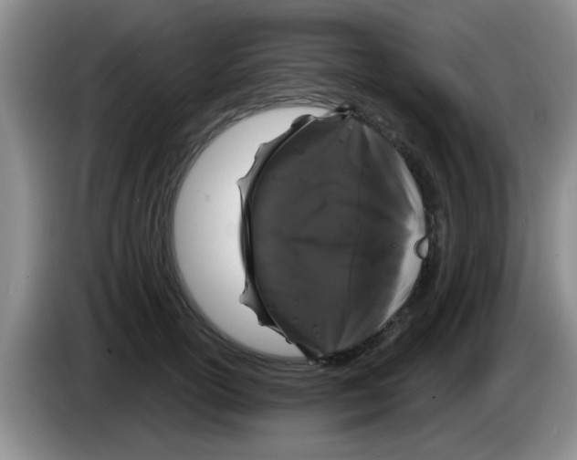 X0000083590754200703091719